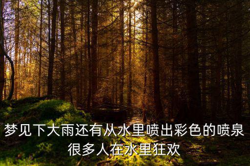 夢見下大雨還有從水里噴出彩色的噴泉很多人在水里狂歡
