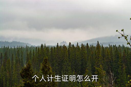 計生證明，什么是計生證明