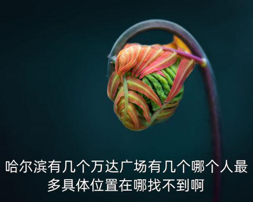 哈爾濱有幾個萬達(dá)廣場有幾個哪個人最多具體位置在哪找不到啊