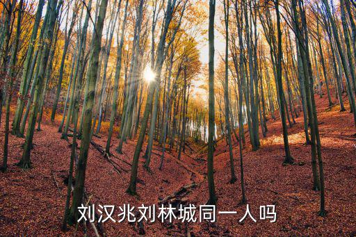 劉漢兆劉林城同一人嗎