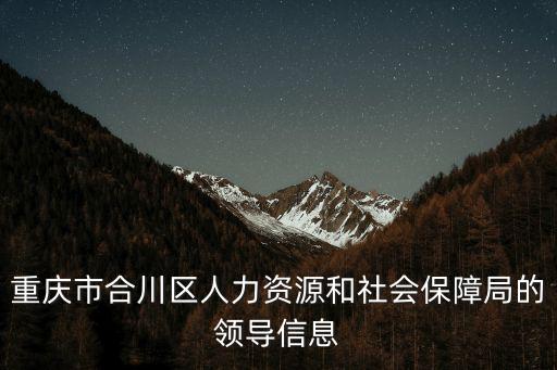 重慶市合川區人力資源和社會保障局的領導信息