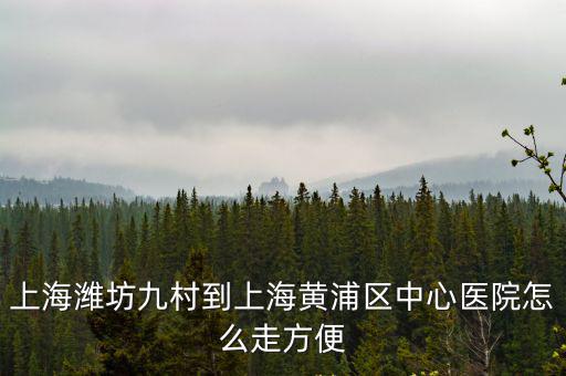濰坊九村，上海濰坊九村到上海黃浦區(qū)中心醫(yī)院怎么走方便