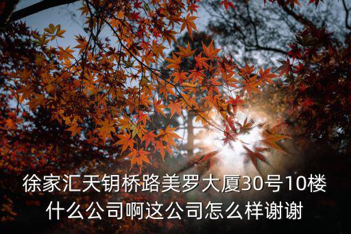 徐家匯天鑰橋路美羅大廈30號10樓什么公司啊這公司怎么樣謝謝