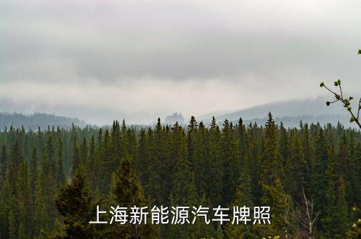 上海新能源汽車(chē)牌照