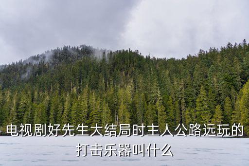 電視劇好先生大結(jié)局時(shí)主人公路遠(yuǎn)玩的打擊樂器叫什么