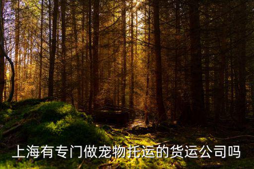 上海有專門做寵物托運(yùn)的貨運(yùn)公司嗎