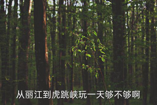 虎跳峽一日游攻略，從麗江到虎跳峽玩一天夠不夠啊