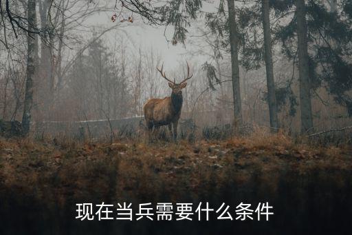 現在當兵需要什么條件