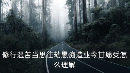 制造甘愿，制造甘愿 壟斷資本主義勞動過程的歷史變遷怎么樣