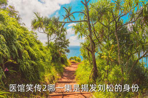 醫(yī)館笑傳2哪一集是揭發(fā)劉松的身份