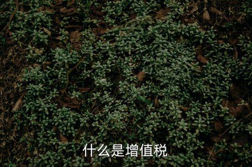 什么是增值稅