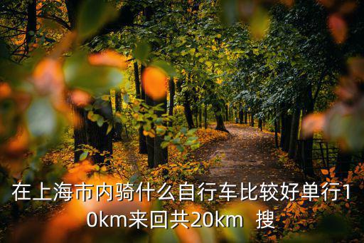 在上海市內騎什么自行車比較好單行10km來回共20km  搜