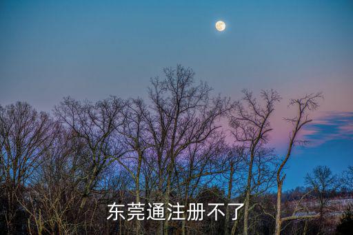 東莞通注冊不了