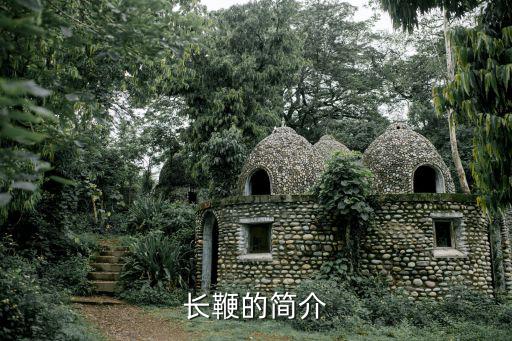 長鞭的簡介