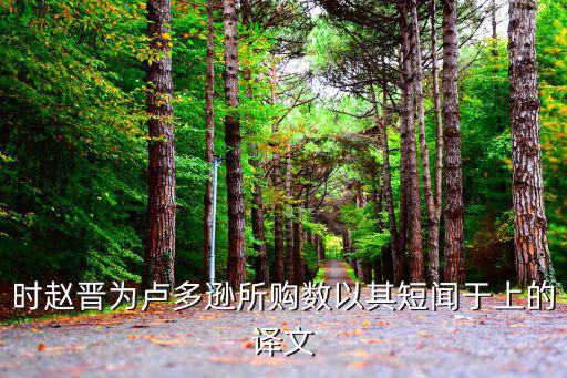 時趙晉為盧多遜所購數以其短聞于上的譯文