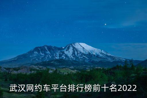武漢網約車平臺排行榜前十名2022