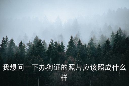 我想問一下辦狗證的照片應該照成什么樣