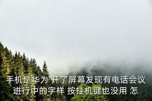 手機是華為 開了屏幕發現有電話會議進行中的字樣 按掛機鍵也沒用 怎