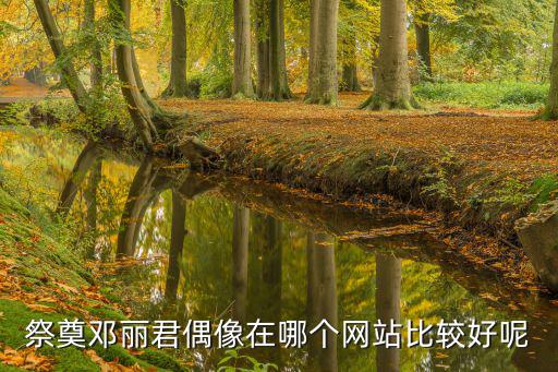 網上祭奠網站，祭奠鄧麗君偶像在哪個網站比較好呢