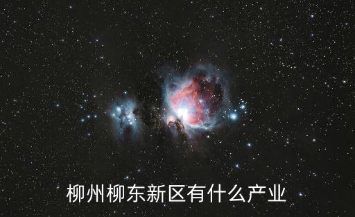 柳州柳東新區有什么產業