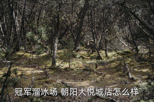 冠軍溜冰場(chǎng) 朝陽大悅城店怎么樣