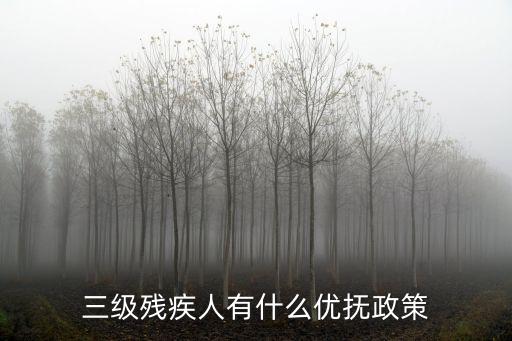三級殘疾人有什么優(yōu)撫政策