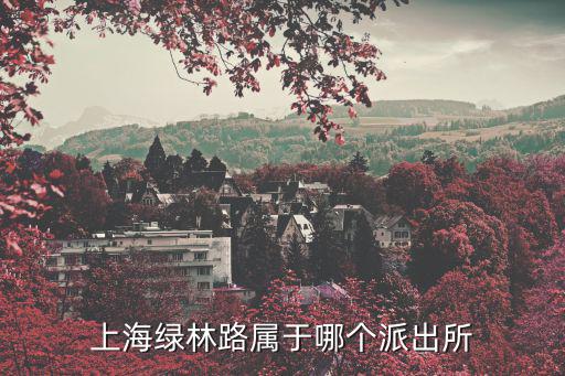 北蔡派出所，上海綠林路屬于哪個派出所