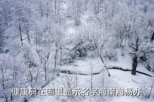 海南省健康碼，我在重慶準(zhǔn)備去海南申請(qǐng)了海南健康碼為什么渝康碼顏色變成了淡
