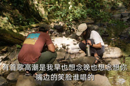 有首歌高潮是我早也想念晚也想念想你嘴邊的笑臉誰唱的