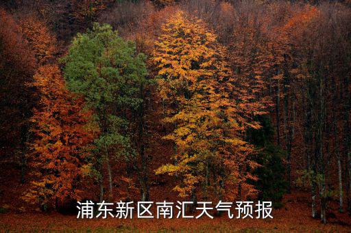 浦東新區南匯天氣預報