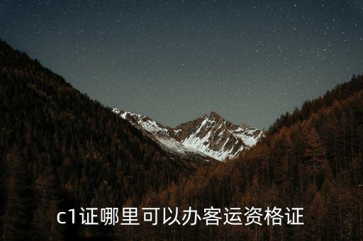 c1客運資格證，c1可以考客運資格證書嗎