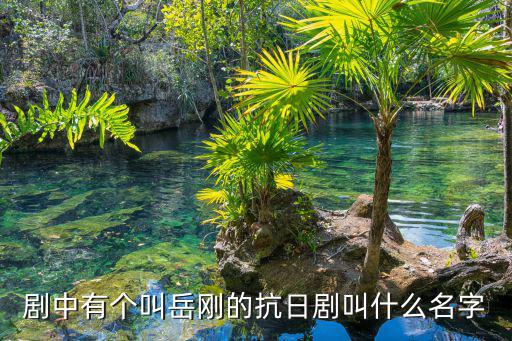 劇中有個叫岳剛的抗日劇叫什么名字