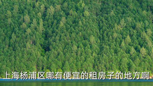 上海楊浦區哪有便宜的租房子的地方啊