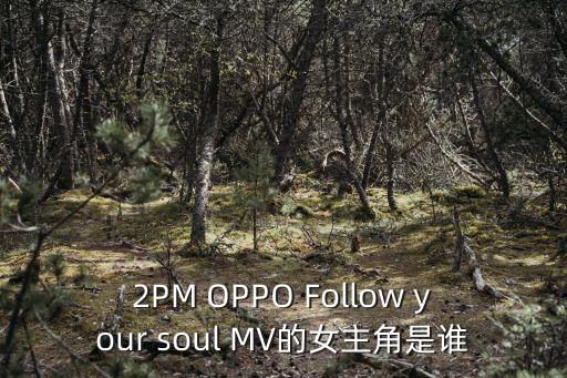 2PM OPPO Follow your soul MV的女主角是誰