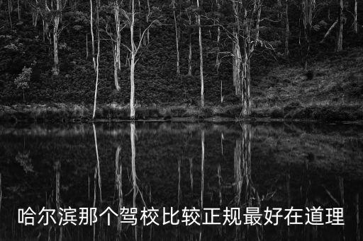 哈爾濱那個駕校比較正規最好在道理