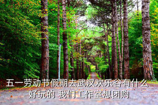 五一勞動節假期去武漢歡樂谷有什么 好玩的 我們工作室想團購