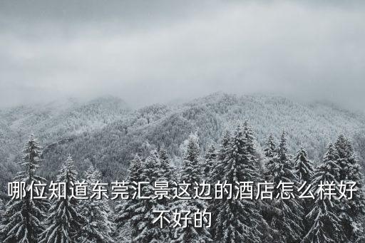 哪位知道東莞匯景這邊的酒店怎么樣好不好的