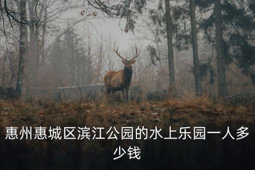 惠州惠城區濱江公園的水上樂園一人多少錢
