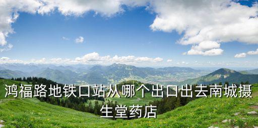 鴻福路地鐵口站從哪個出口出去南城攝生堂藥店