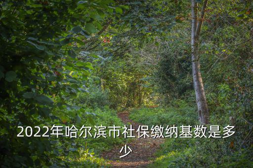 2022年哈爾濱市社保繳納基數是多少