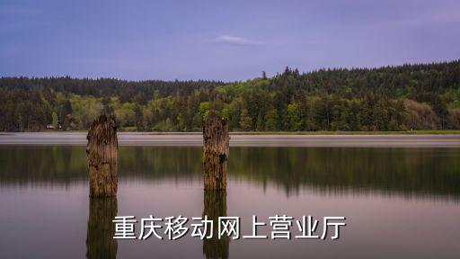 重慶移動(dòng)網(wǎng)上營業(yè)廳