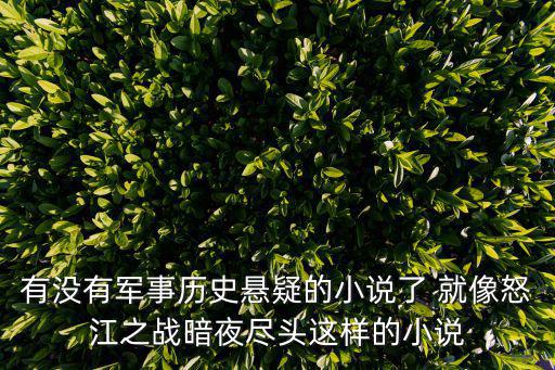 有沒有軍事歷史懸疑的小說了 就像怒江之戰(zhàn)暗夜盡頭這樣的小說