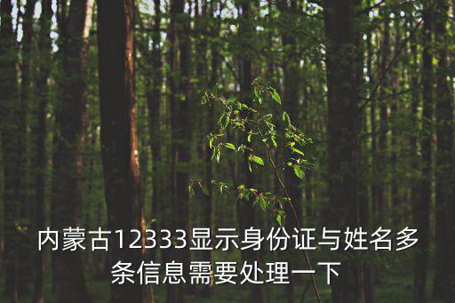內蒙古12333顯示身份證與姓名多條信息需要處理一下