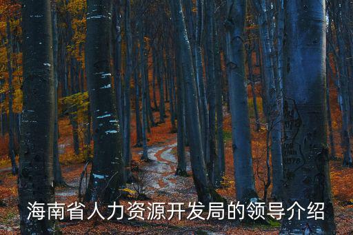 海南省人力資源，海南省大中專畢業生指導中心在哪