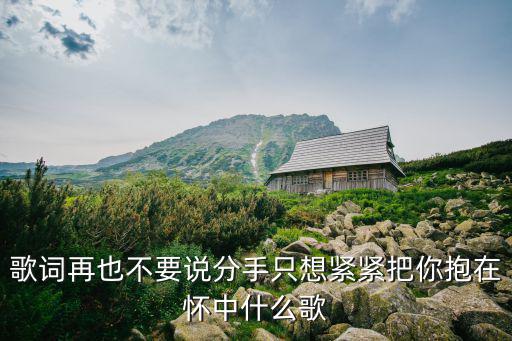 歌詞再也不要說(shuō)分手只想緊緊把你抱在懷中什么歌