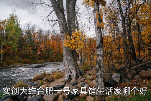 實創大維合肥一號家具館生活家哪個好