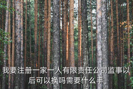 我要注冊一家一人有限責(zé)任公司監(jiān)事以后可以換嗎需要什么手