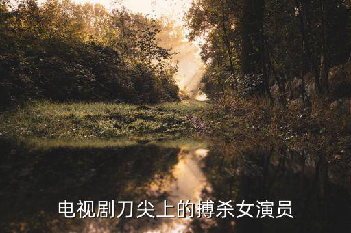 電視劇刀尖上的搏殺女演員
