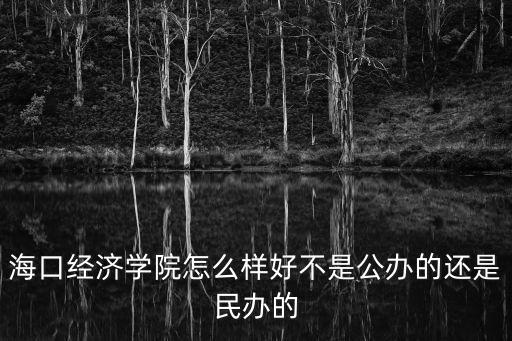 海口經(jīng)濟學(xué)院怎么樣好不是公辦的還是民辦的
