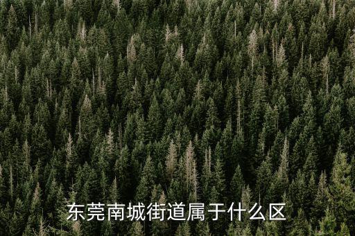 東莞南城街道屬于什么區(qū)